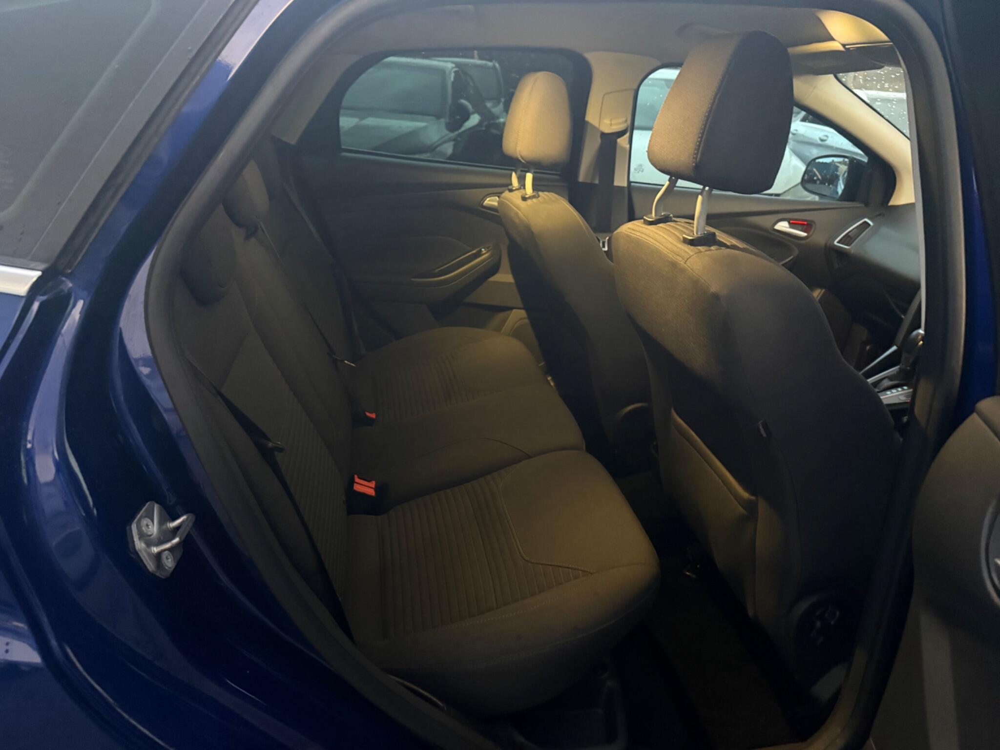 Seats Rear